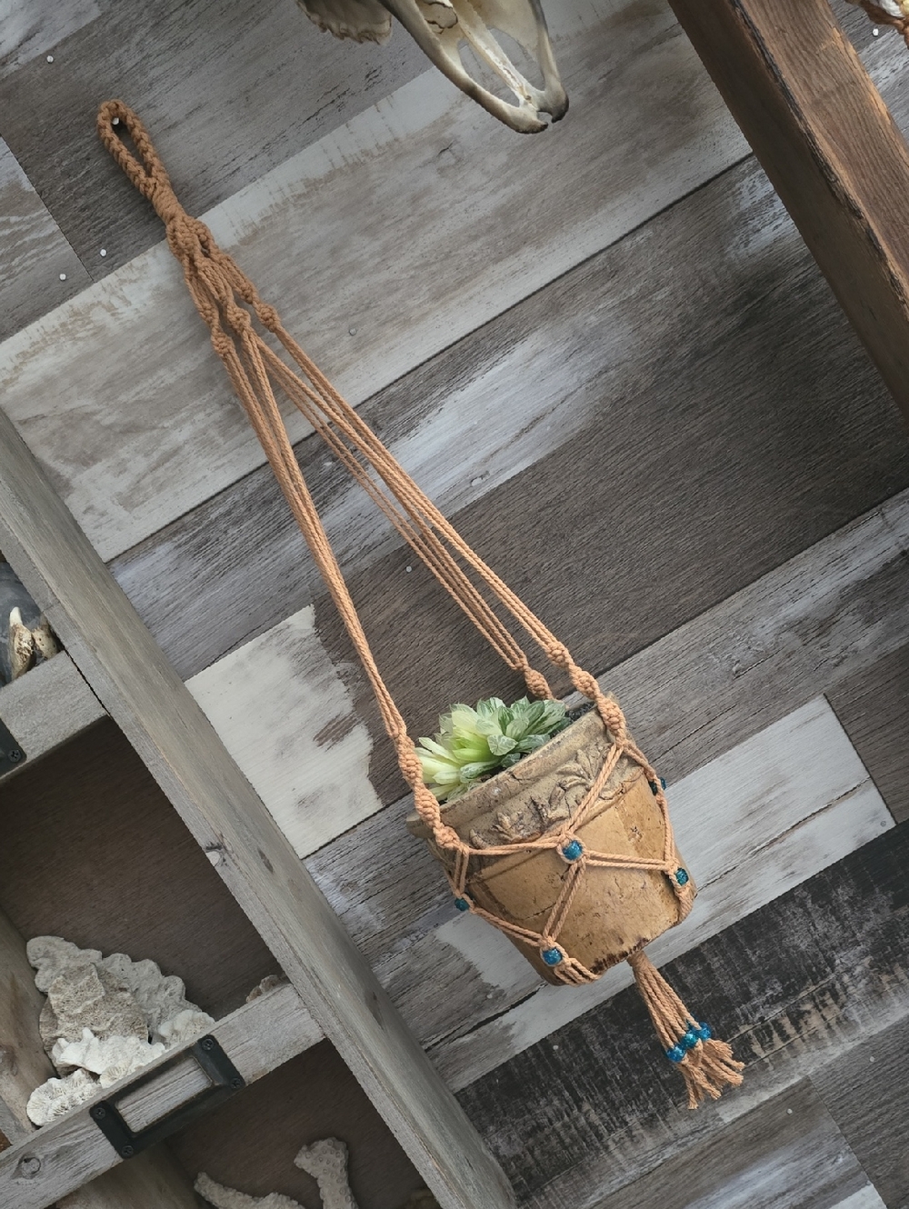 Plant Hanger